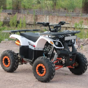 125cc pull start chain drive 4 wheels gasoline bike mini Atv for kids